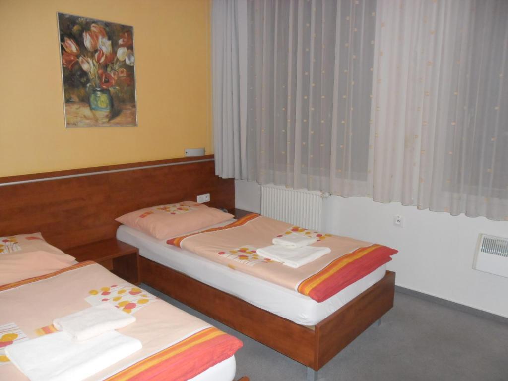 Red Deer Hotel ブレズノ 部屋 写真