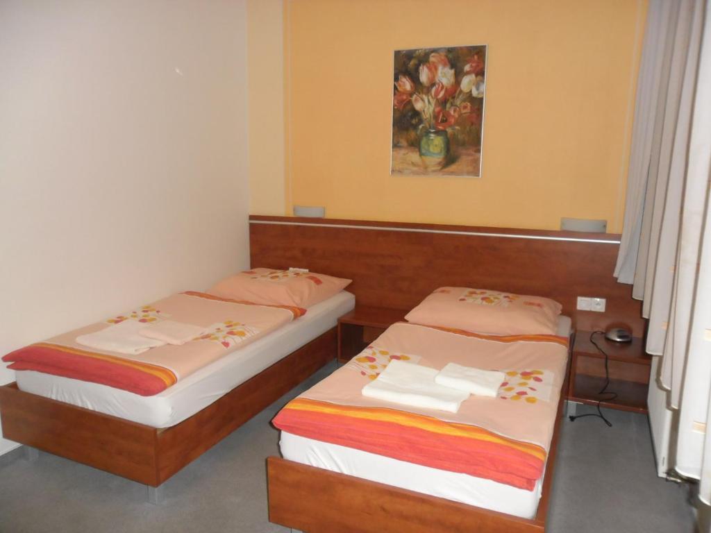 Red Deer Hotel ブレズノ 部屋 写真
