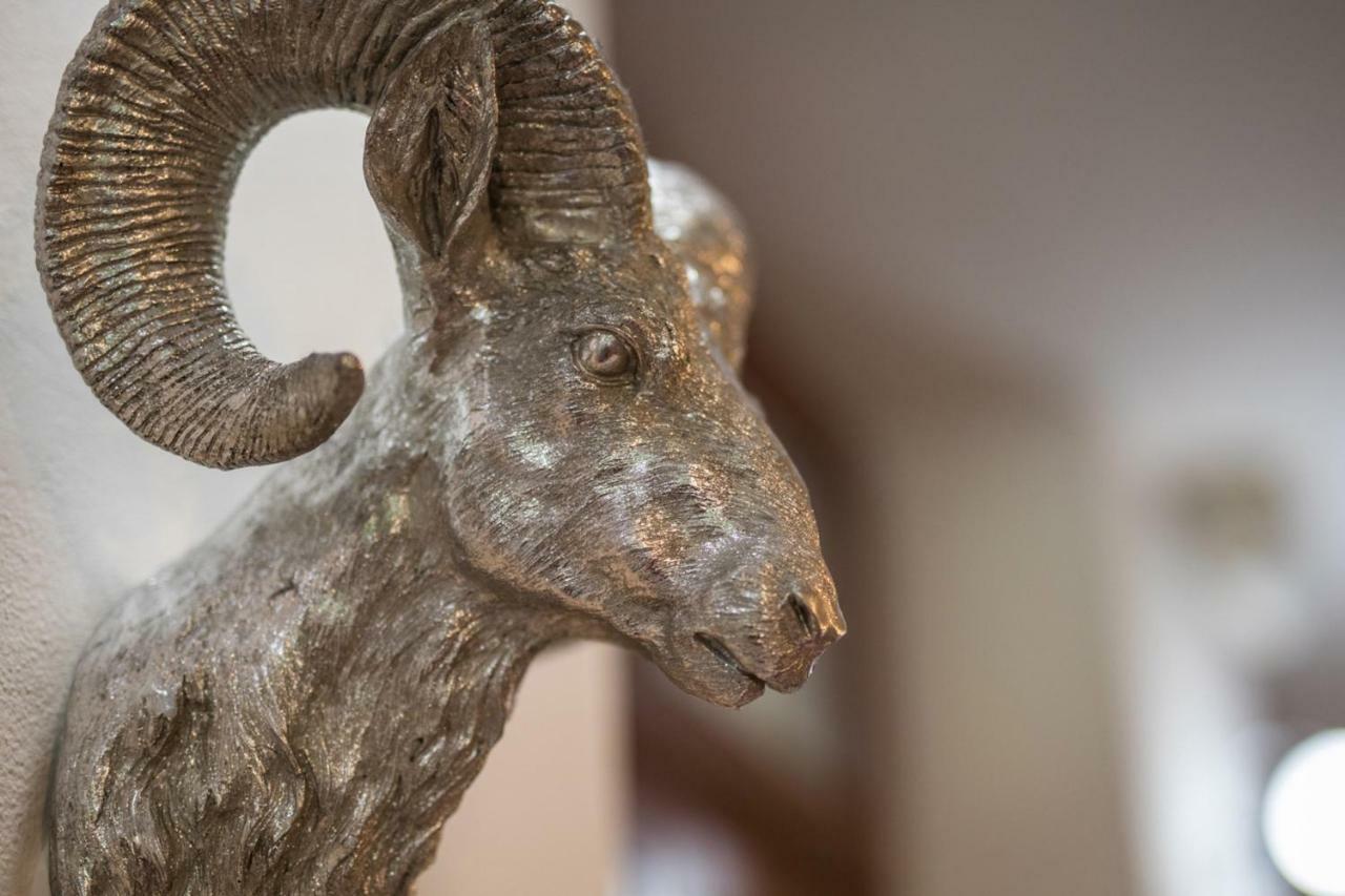 Red Deer Hotel ブレズノ エクステリア 写真